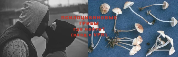 прущий лед Алексин
