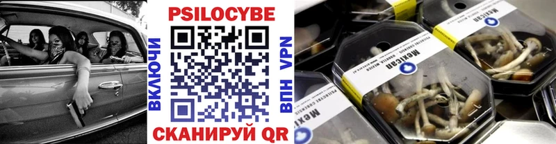 Галлюциногенные грибы Psilocybe  наркотики  Грайворон 